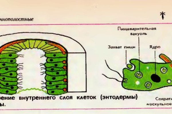 Кракен даркнет зеркало