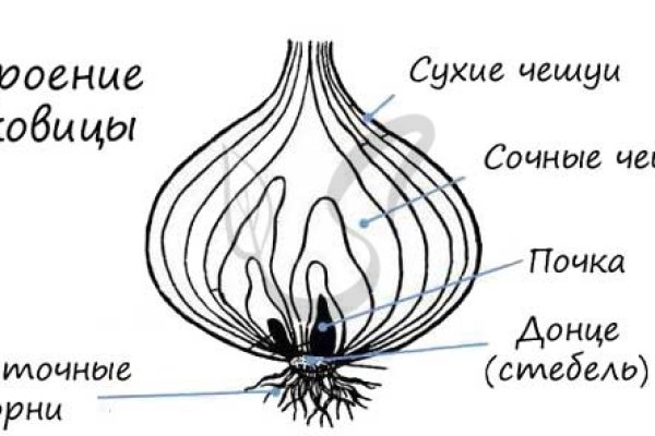 Кракен актуальная ссылка