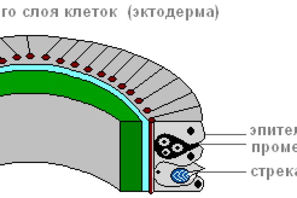 Кракен площадка даркнет