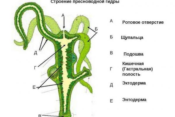 Кракен даркнет регистрация